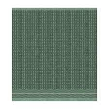 DDDDD KD MONSTERA ()